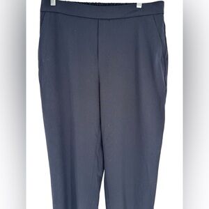 Banana Republic Navy Flat Front Pants